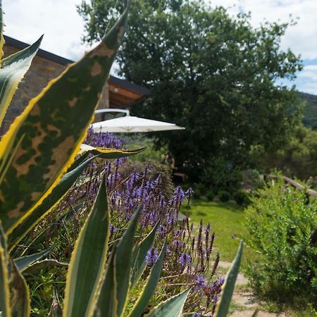 モンテコーリチェ Casa Brillocco Castellabateヴィラ エクステリア 写真