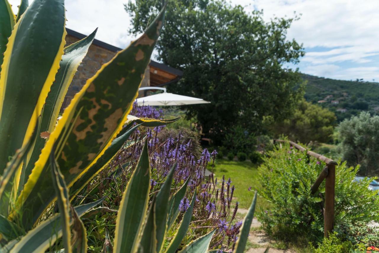 モンテコーリチェ Casa Brillocco Castellabateヴィラ エクステリア 写真