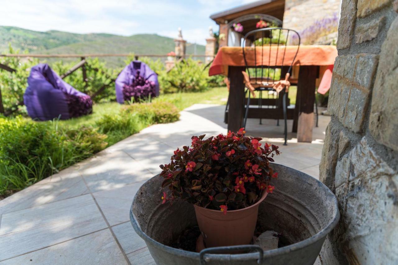 モンテコーリチェ Casa Brillocco Castellabateヴィラ エクステリア 写真